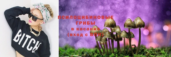 прущие крисы Нефтегорск
