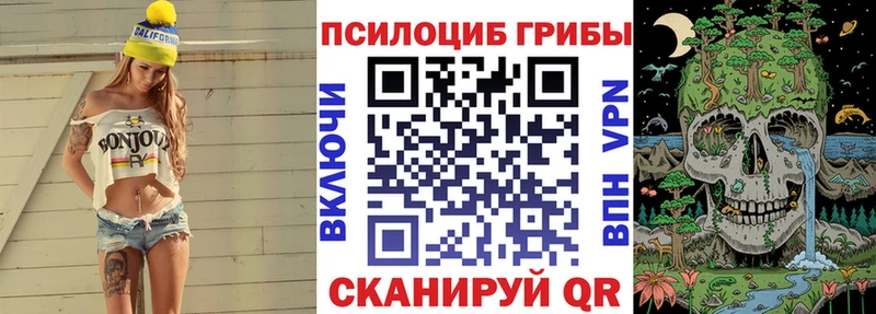 Псилоцибиновые грибы Psilocybe  Кедровый 